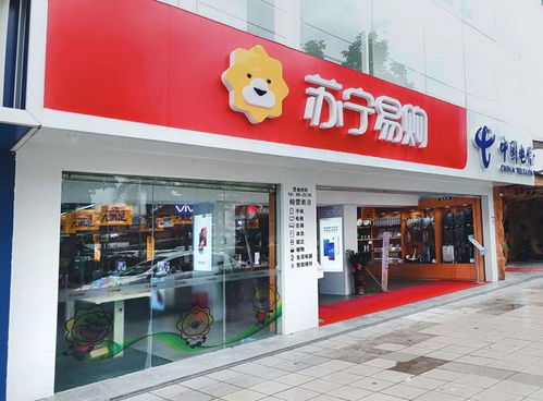 中文域名 蘇寧易購.購物視角下的品牌價(jià)值與競爭優(yōu)勢